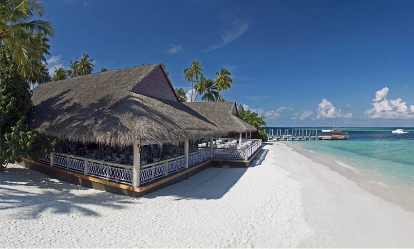 馬爾代夫旅游