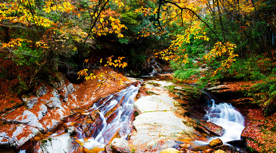 光霧山紅葉季+米倉(cāng)山森林公園+十八月潭3日游
