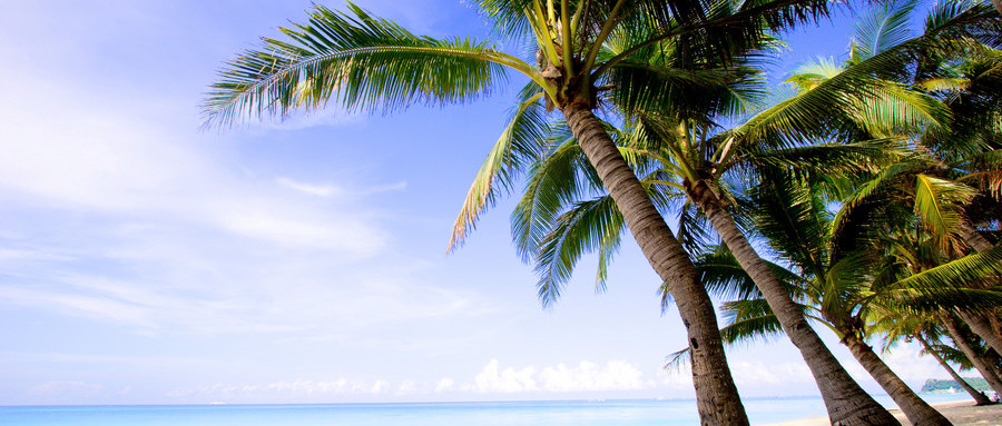 直飛長(zhǎng)灘島（杜鵑花酒店）6天4晚/5天3晚自由行