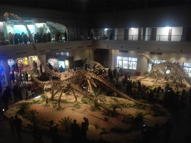 恐龍博物館