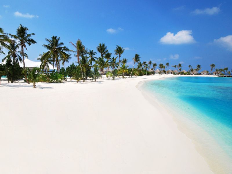 馬爾代夫薩芙莉1