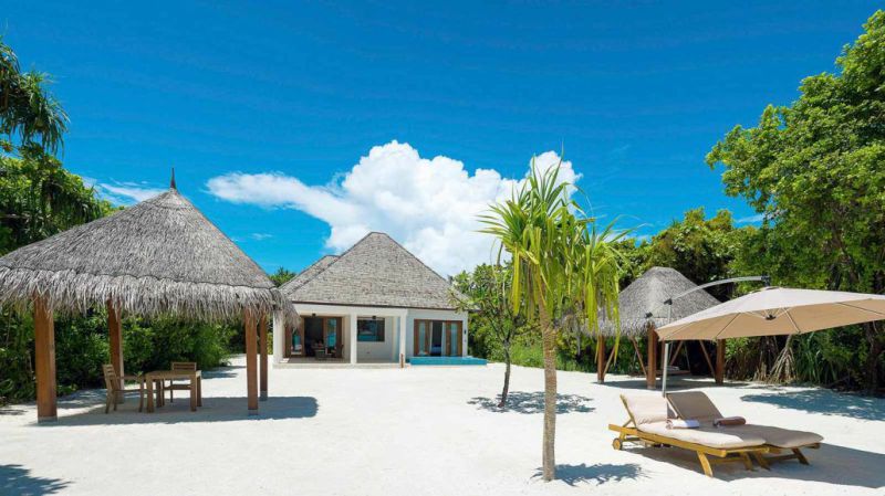 馬爾代夫神仙珊瑚3 馬爾代夫神仙珊瑚3