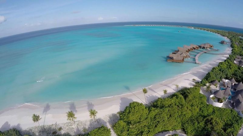 馬爾代夫神仙珊瑚2 馬爾代夫神仙珊瑚2