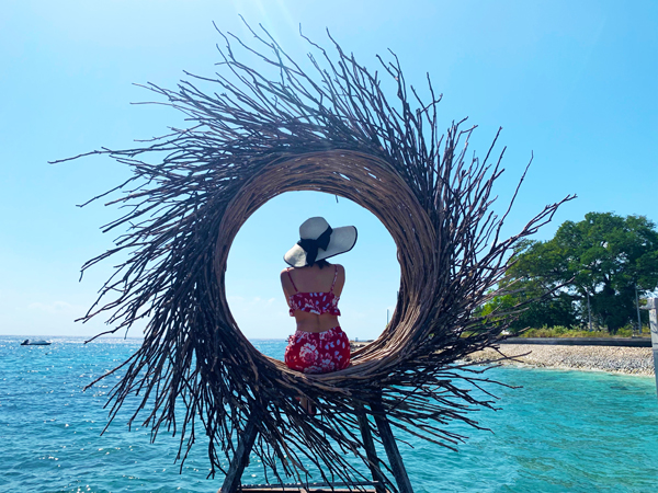 巴厘島鳥(niǎo)巢實(shí)拍05