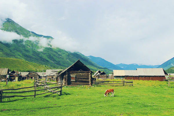 純玩南北疆（可可托海、喀納斯、禾木、伊犁）純玩10日游