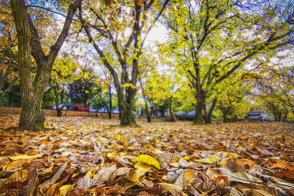 云南昆明、瑞麗、芒市、花滿(mǎn)騰沖6日純玩游