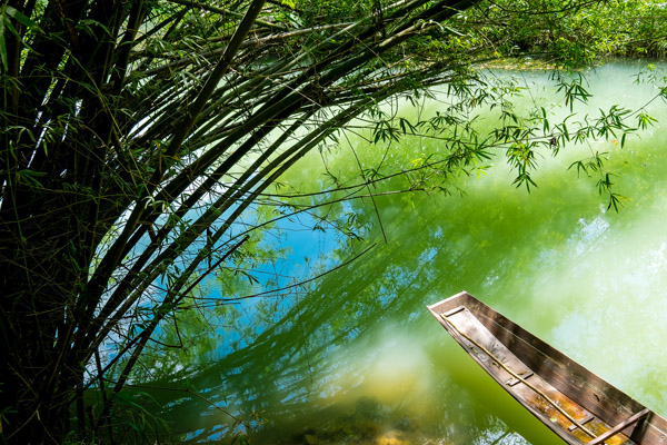 【我在貴州等你】貴州荔波小七孔+西江千戶(hù)苗寨+黃果樹(shù)大瀑布+青巖古鎮(zhèn)5日游