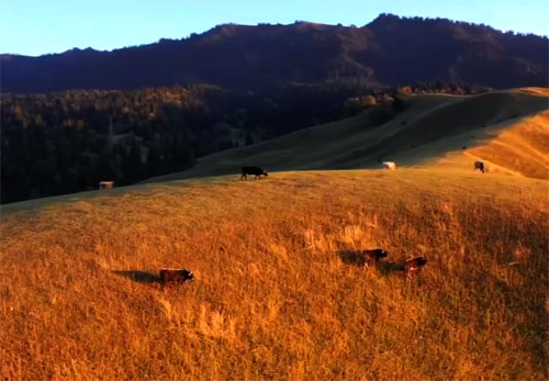 尊享新疆喀納斯  · 可可托海 ·禾木 · 天山天池 · 海上魔鬼城· 火焰山 · 坎兒井雙飛8日游