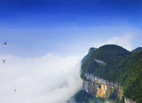 金佛山自然科普成長(zhǎng)夏令營(yíng)7 天營(yíng)